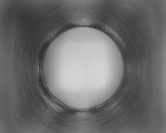 X0000082960541200702222342