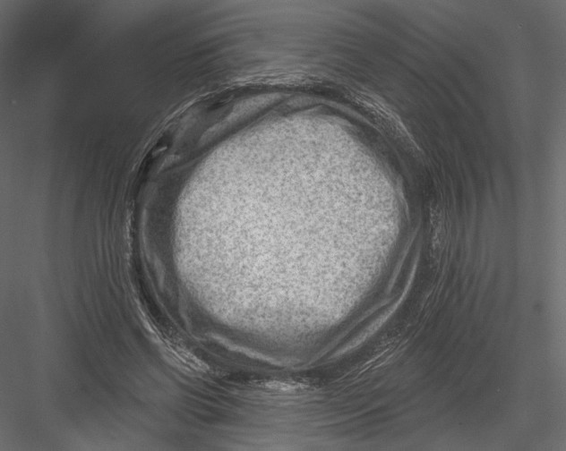 X0000082960542200702222342