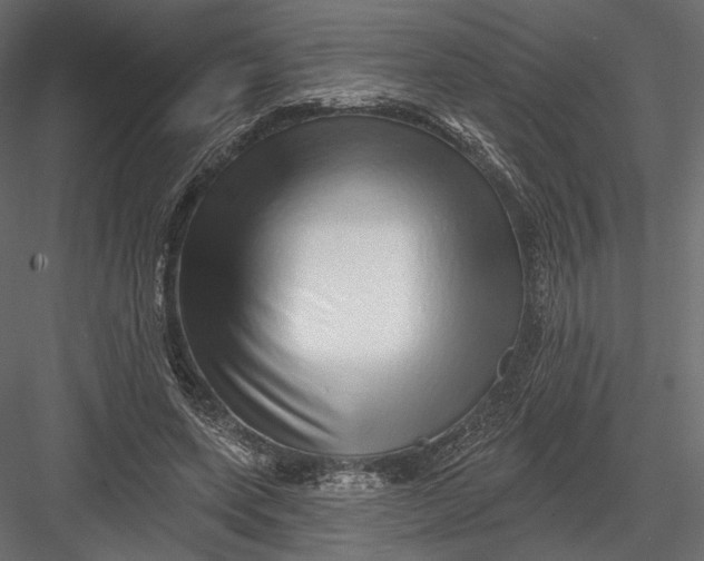 X0000082960543200702222342