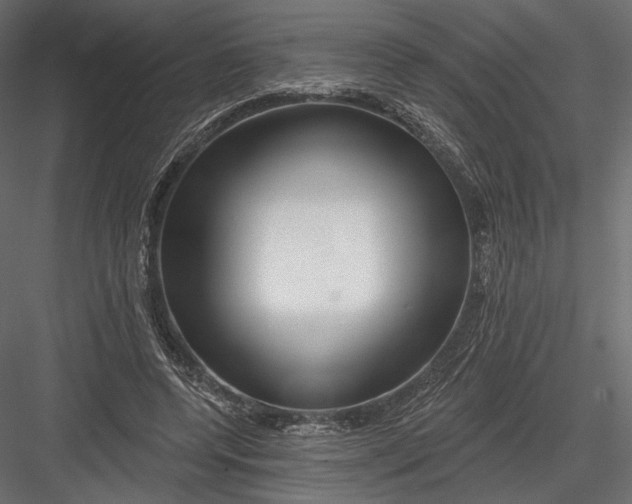 X0000082960544200702222342