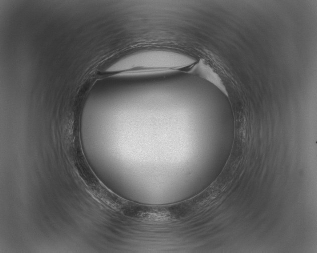 X0000082960548200702222343