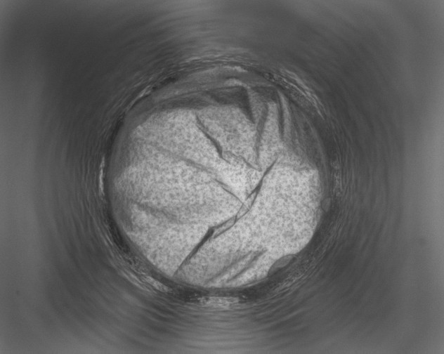 X0000082960549200702222343