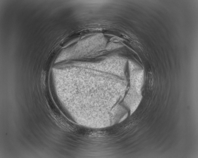 X0000082960550200702222343