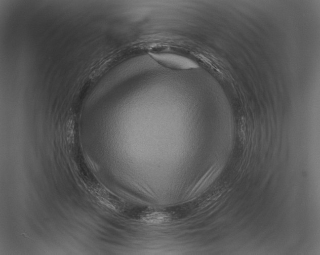 X0000082960551200702222343