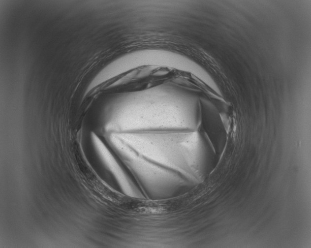 X0000082960552200702222343