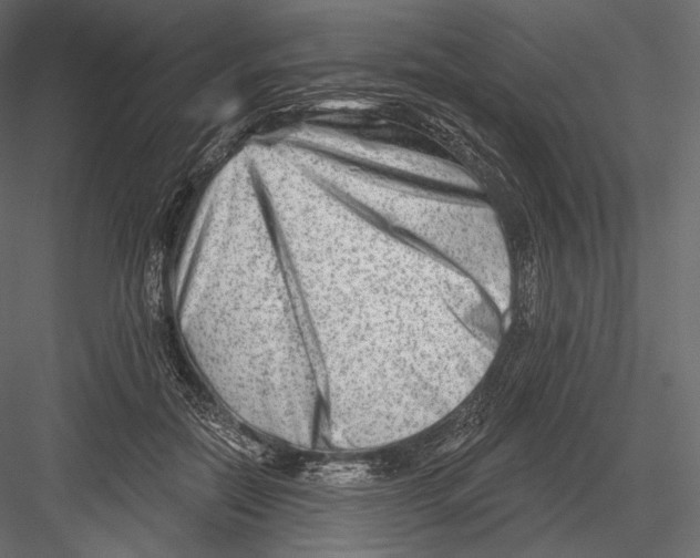 X0000082960554200702222343