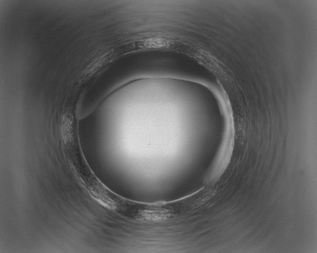 X0000082960556200702222343