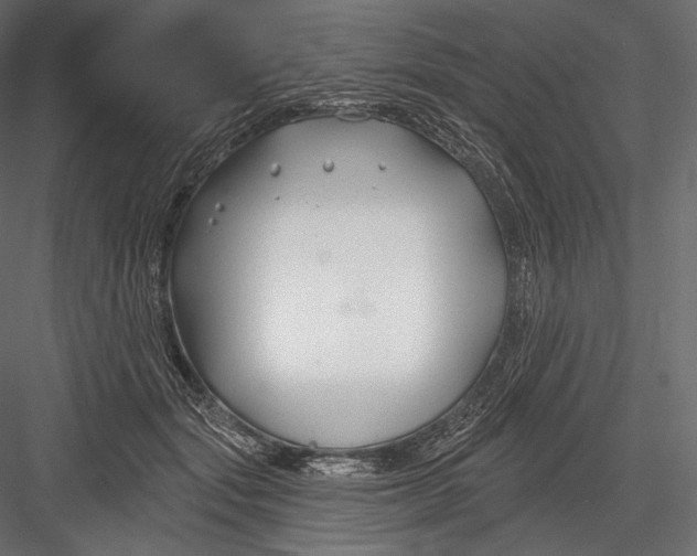 X0000082960557200702222343