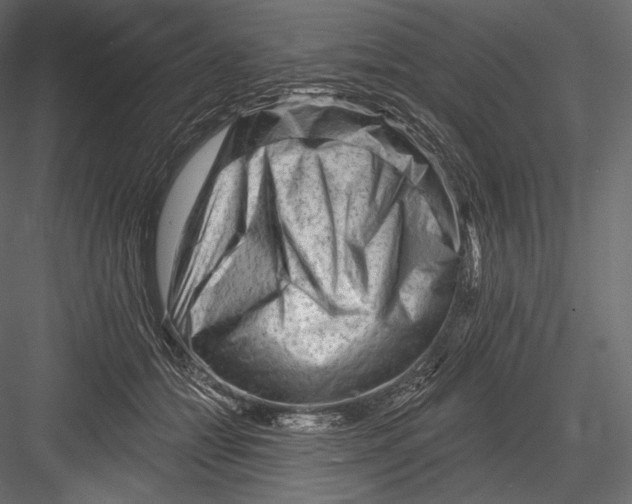 X0000082960558200702222343