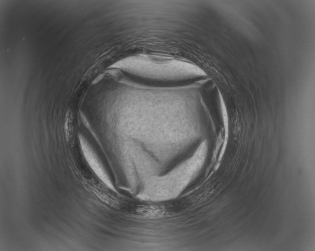 X0000082960559200702222343