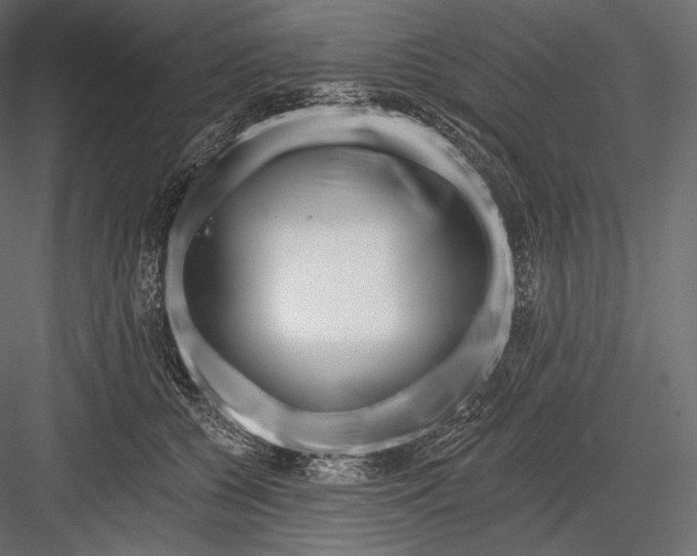 X0000082960560200702222343