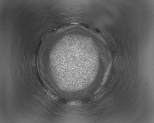 X0000082960561200702222343