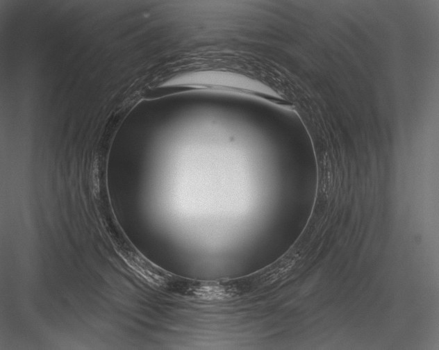 X0000082960562200702222343