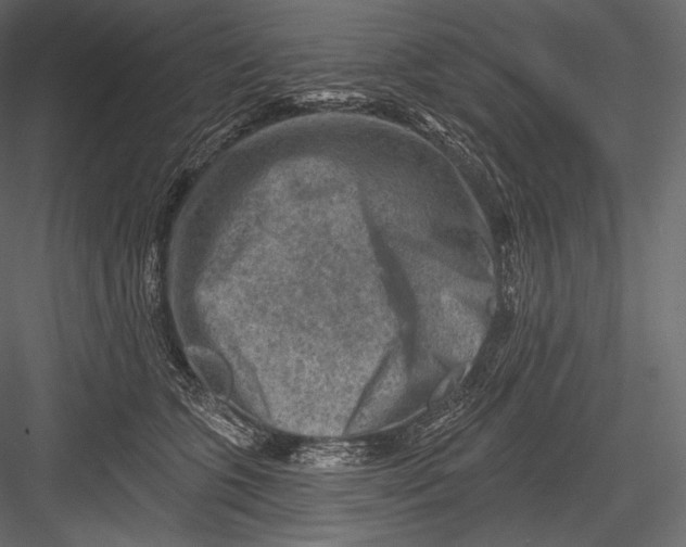 X0000082960563200702222343