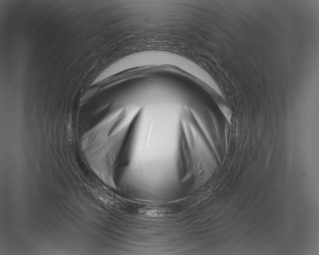 X0000082960564200702222343