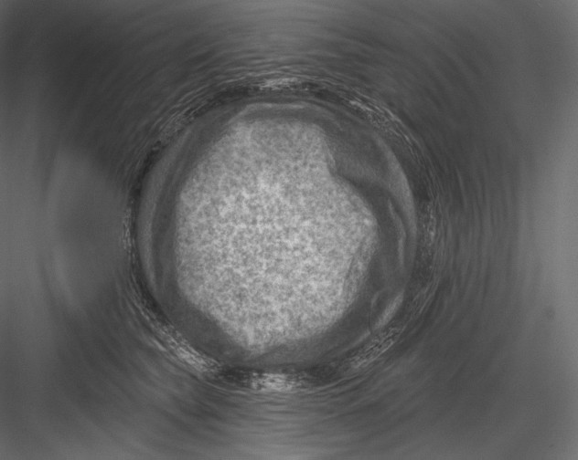 X0000082960565200702222343