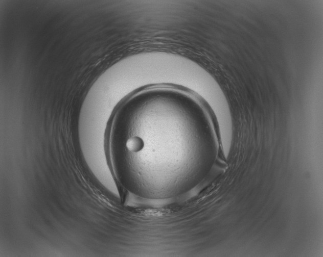 X0000082960566200702222343