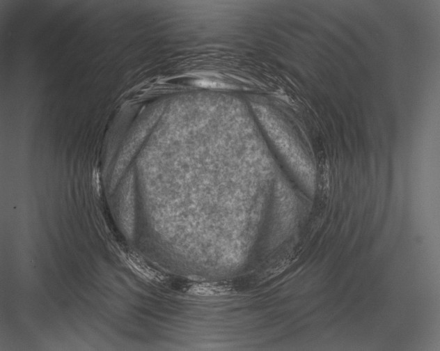 X0000082960568200702222343