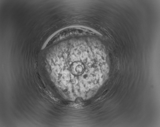 X0000082960569200702222343