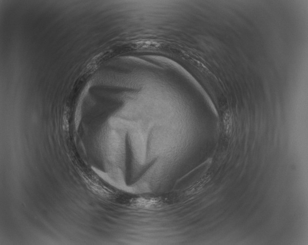 X0000082960570200702222343