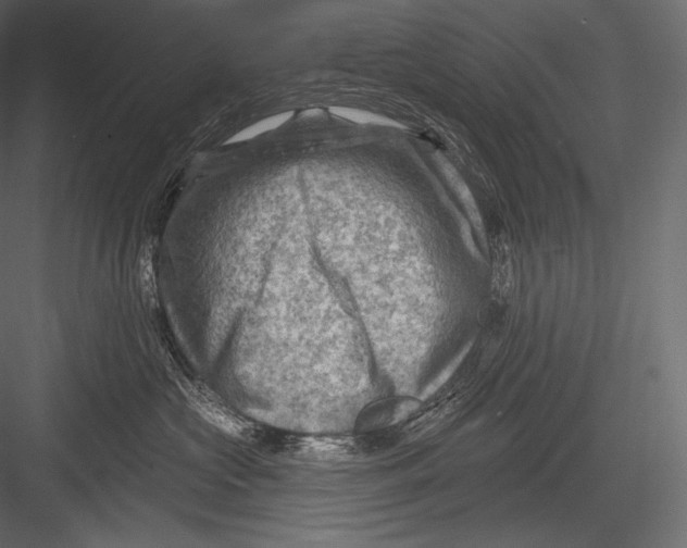 X0000082960573200702222343