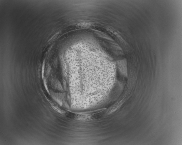 X0000082960576200702222343