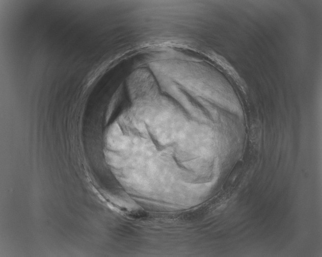 X0000082960577200702222342