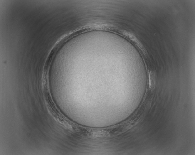 X0000082960579200702222342