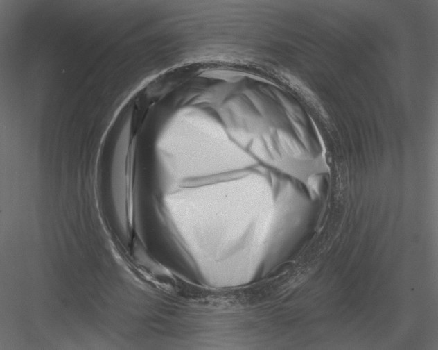 X0000082960580200702222342