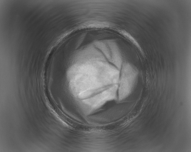 X0000082960581200702222342