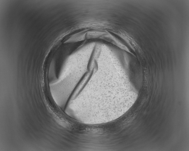 X0000082960582200702222342