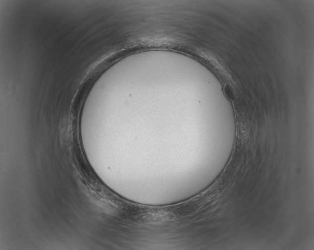 X0000082960583200702222342