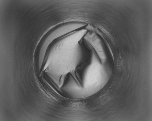 X0000082960584200702222342