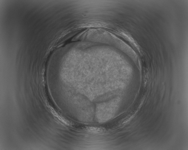 X0000082960585200702222342