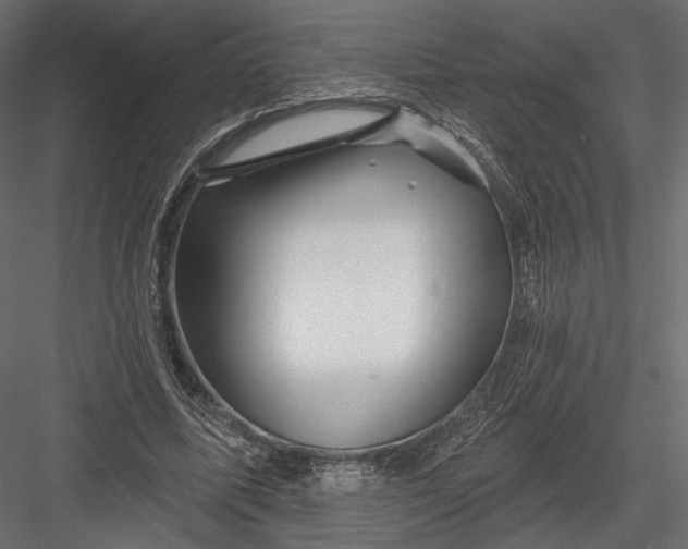 X0000082960587200702222342