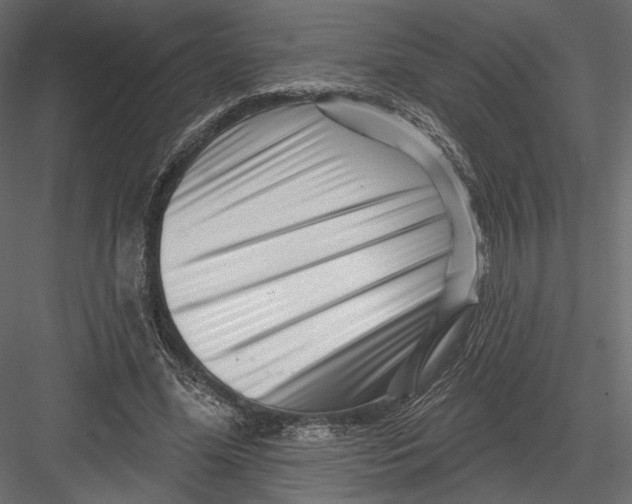 X0000082960588200702222342