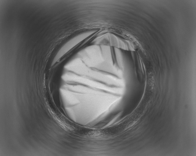 X0000082960589200702222342