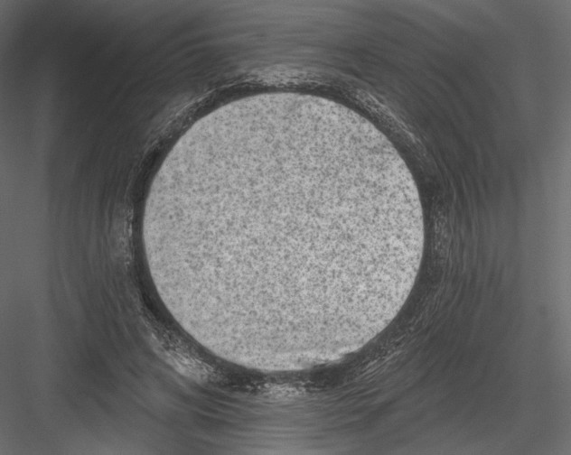 X0000082960592200702222342