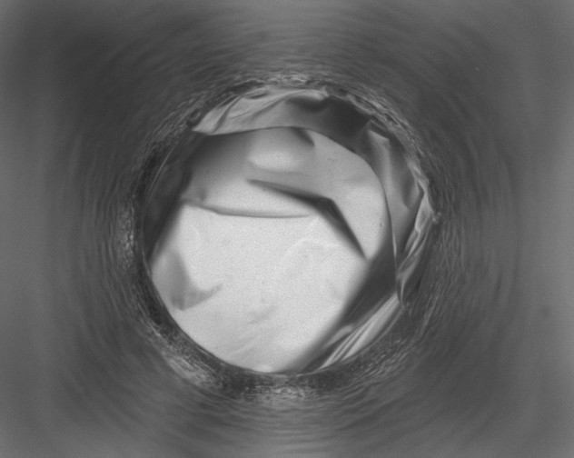 X0000082960593200702222342