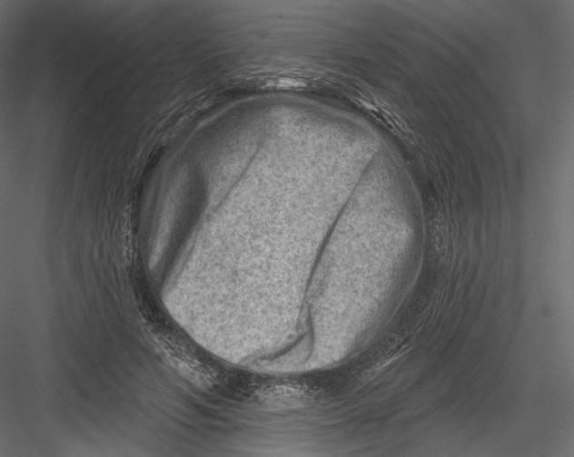 X0000082960594200702222342