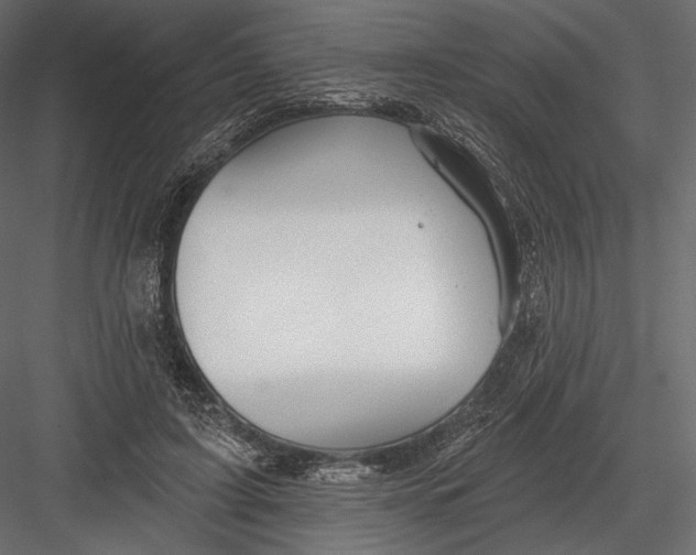 X0000082960595200702222342