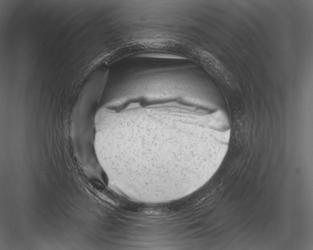 X0000082960596200702222342