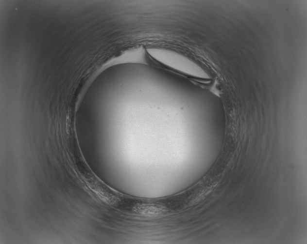 X0000082960597200702222342