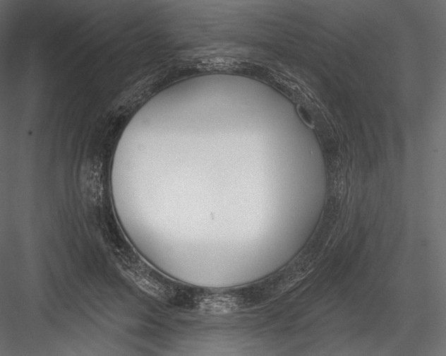 X0000082960599200702222342