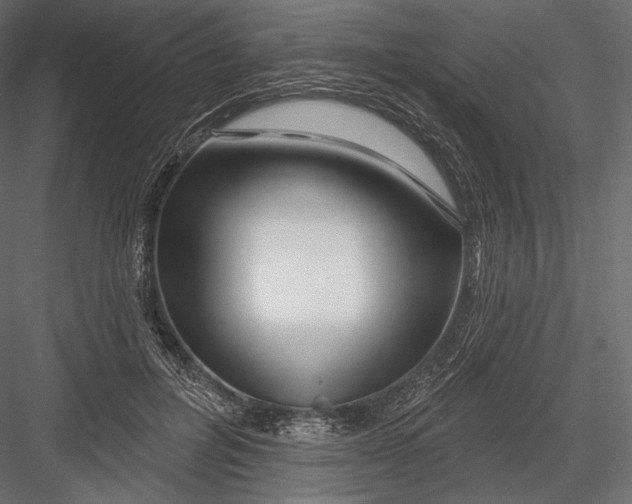 X0000082960600200702222342