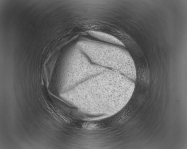 X0000082960602200702222342