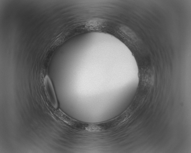 X0000082960603200702222342