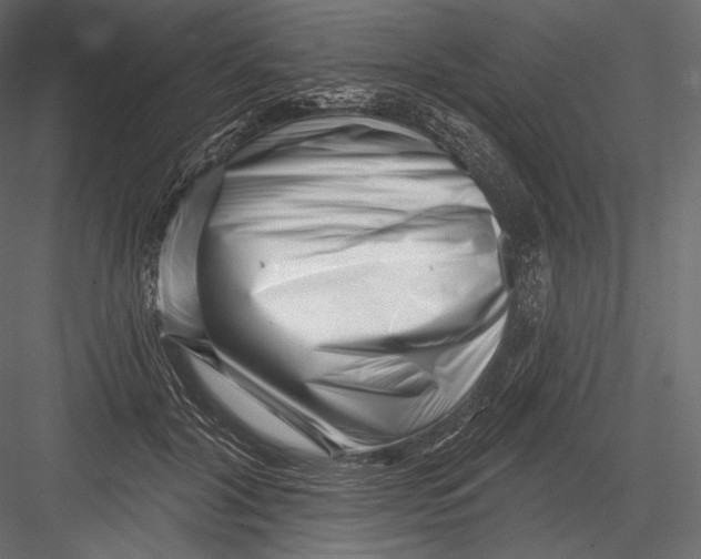 X0000082960604200702222342