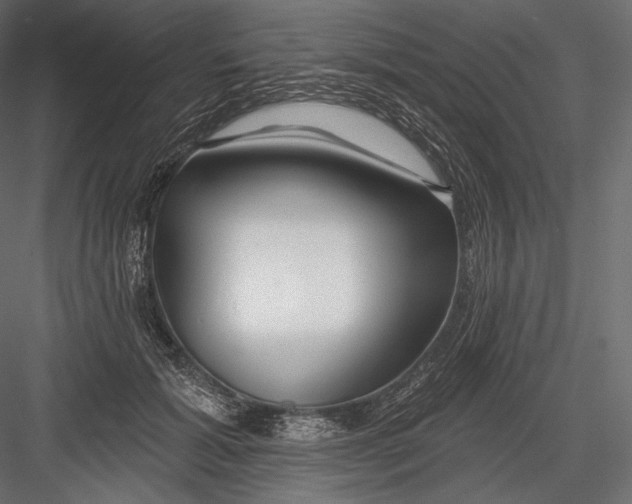 X0000082960605200702222342