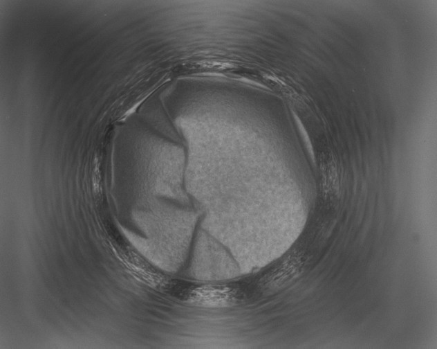 X0000082960606200702222342